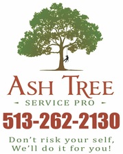 Logo for Ash Tree Service Pro