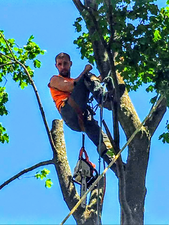 Madden Tree service - Home Facebook logo