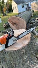 Avatar for ASG Tree Service