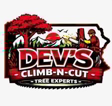 Avatar for Dev's Climb N Cut Tree Experts, LLC