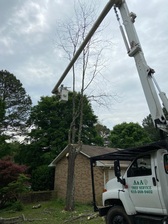 Logo for A&A Tree Service LLC