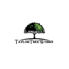 Avatar for Taylor Tree Works