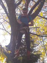 Avatar for NAC'S Tree Service