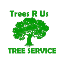 Logo for Trees R Us, LLC