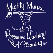 Mighty Mouse Pressure Washing logo