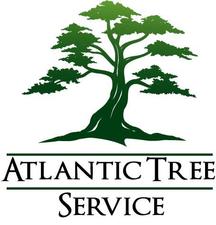 Logo for Atlantic Tree Services