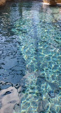 Avatar for Clear Waterz Pool Care