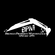 Avatar for Brongo Property Maintenance