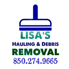 Avatar for Lisa's Hauling and Debris Removal