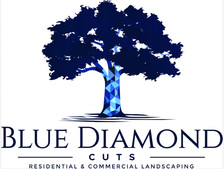 Logo for Blue Diamond Cuts