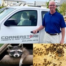 Avatar for Cornerstone Termite and Pest Control