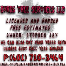 Avatar for Byrds Tree Services LLC - Home Facebook