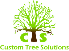 Logo for Custom Tree Solutions