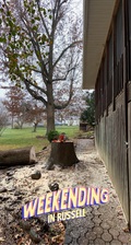 Logo for Justins Tree Service - Coal Grove, Ohio Facebook
