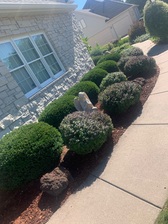 Avatar for Eaton Mulching & Yard Cleaning Services