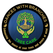 Logo for Dances with Branches Tree Care