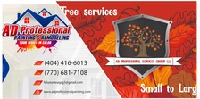 Avatar for AD Professional Services Group LLC