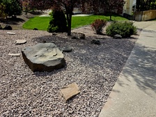 Avatar for AlleyCat Landscaping