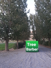 Logo for The Tree Barber