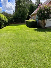 Avatar for Hernandez Landscaping