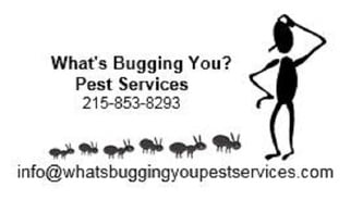 What's Bugging You? Pest Services logo