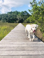 Avatar for Barrier Island Marine Construction