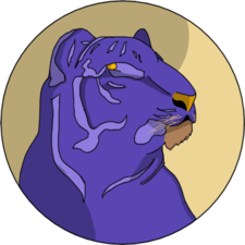 Cyberian Innovations & Technology logo