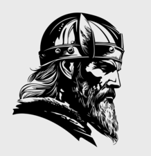 Avatar for Norse Home Solutions