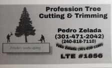 Logo for Zelada's Landscape