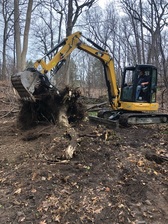 Brandon Tree Service logo