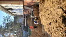 Sanchez Landscaping logo