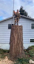 Logo for Mountain View Tree Removal