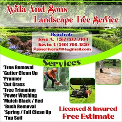 Ayala & Sons Landscape Tree Service, LLC logo