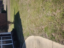 Avatar for SusieQ properties land management LLC