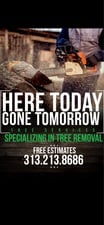 Avatar for Here Today Gone Tomorrow Tree Service