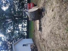 Avatar for Quality Tree Service, LLC