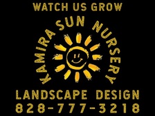 Avatar for Kamira Sun Landscape