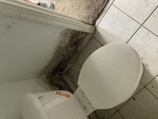 Avatar for 911 Water Repair