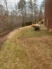 Bill's Tree Services & Home Improvements, LLC logo