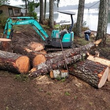 Logo for PNW Treelancers, LLP