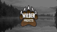 Logo for Wilder Projects llc