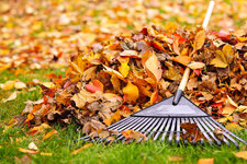 Pro Flow Guttering logo