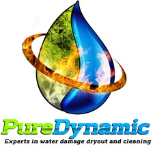 Pure Dynamics logo