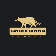 Avatar for Catch A Critter