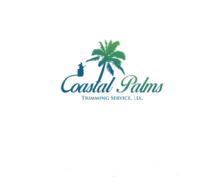 Avatar for Coastal Palm Trimming Service