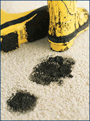 Z Best Carpet Cleaning logo