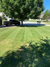 62 The Yard Guard, LLC logo