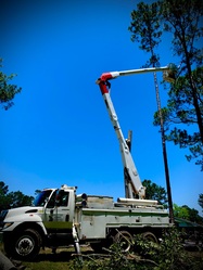 Quality Tree and Debris, LLC logo
