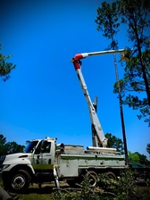 Avatar for Quality Tree and Debris, LLC