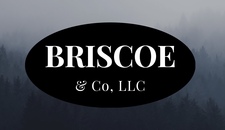 Briscoe & Co LLC logo